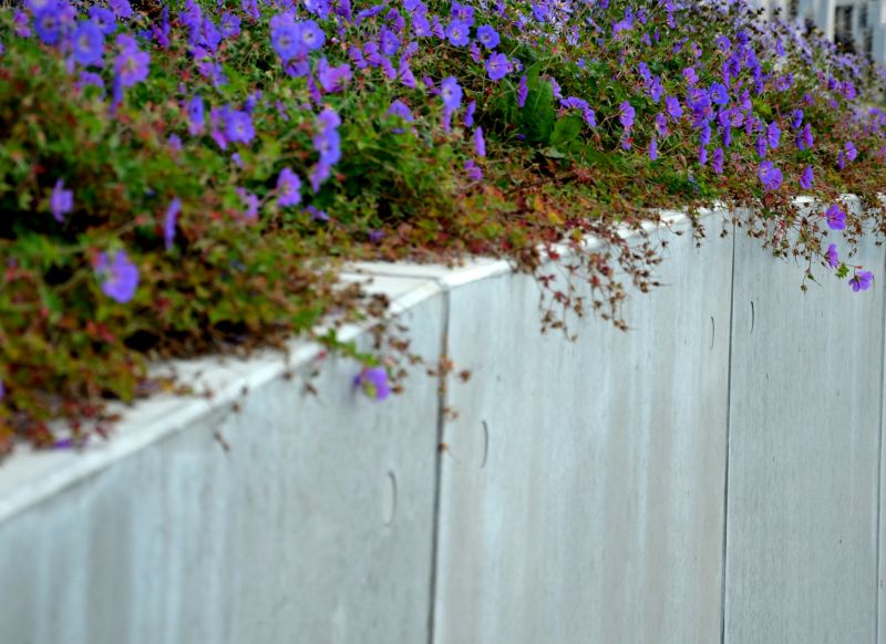 How Decorative Concrete Walls Improve Property Value