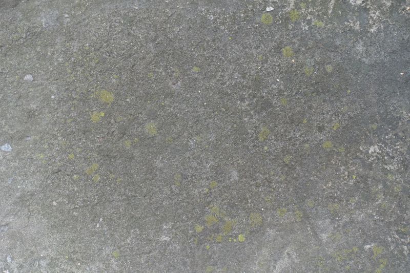 Interior Concrete Staining in Dallas, TX